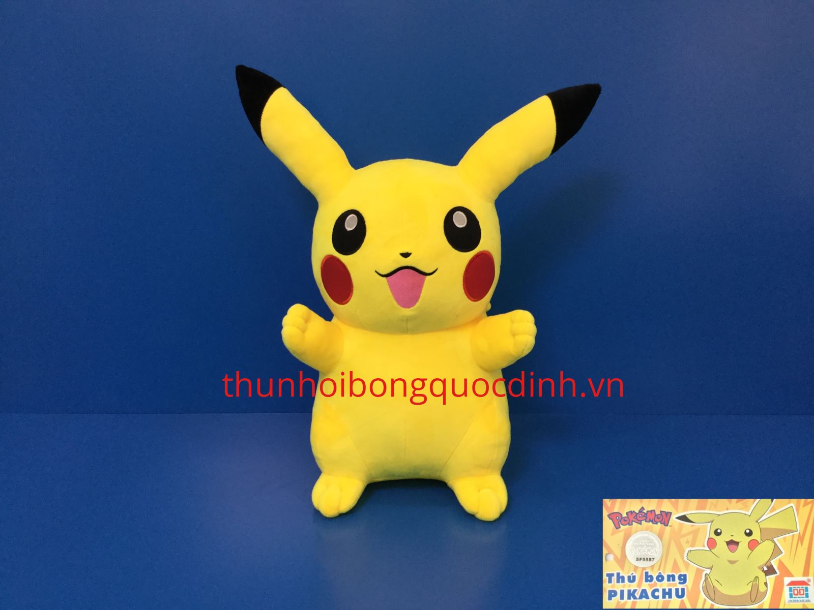 Pokemon đứng