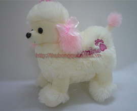 Chó bông Bemine điệu