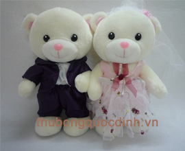 Gấu dâu rể