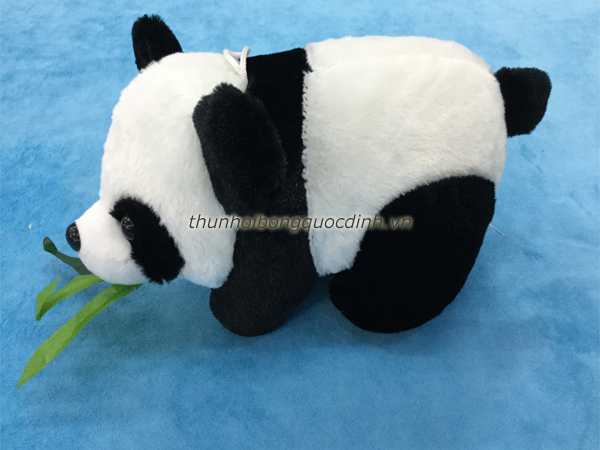 Gấu trúc bông 